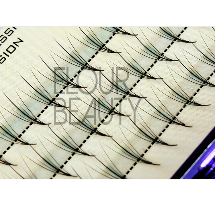 Professional soft individual eyelashes for permanent use EJ19